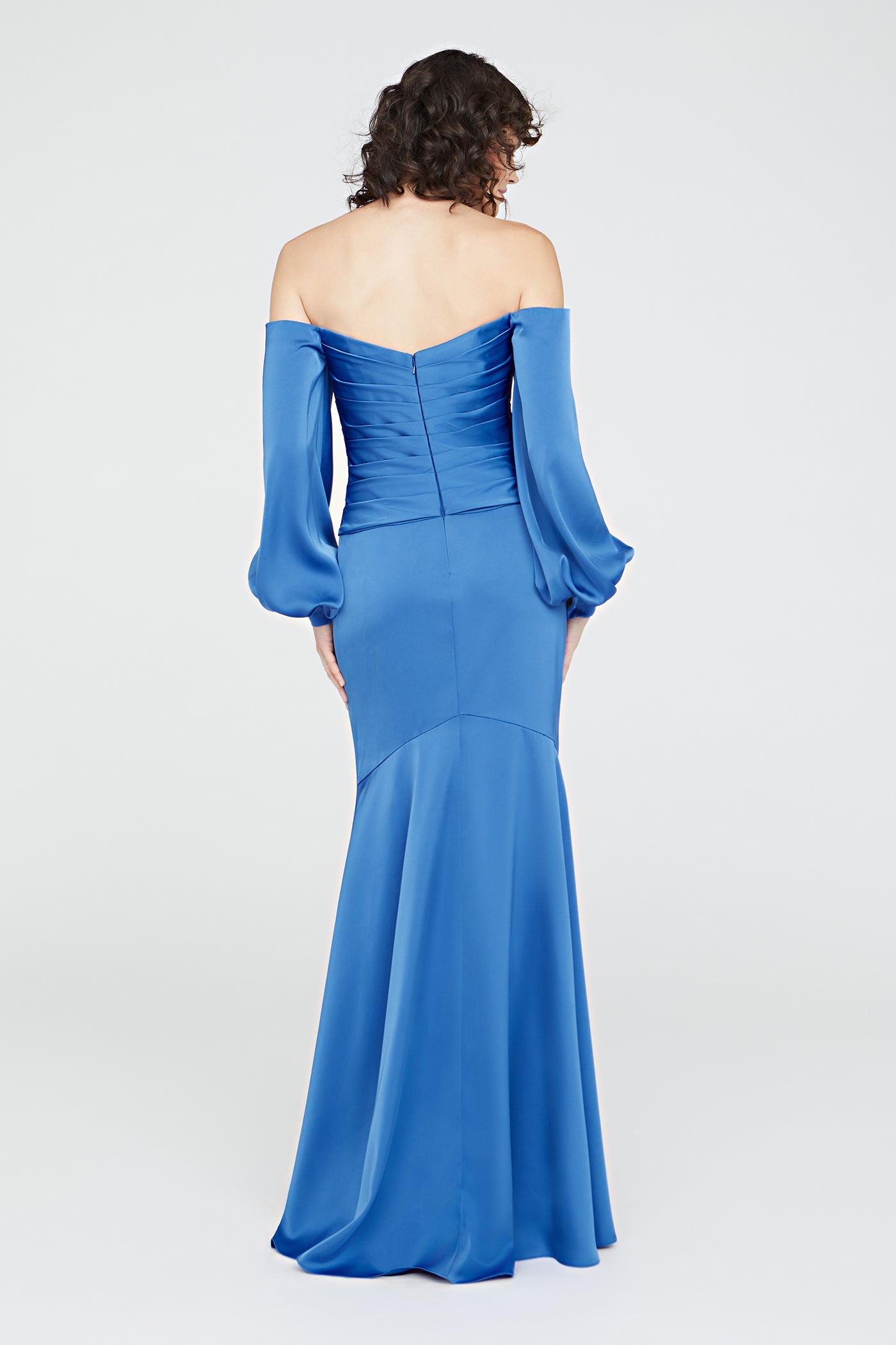Milenia Draped Sleeve Gown