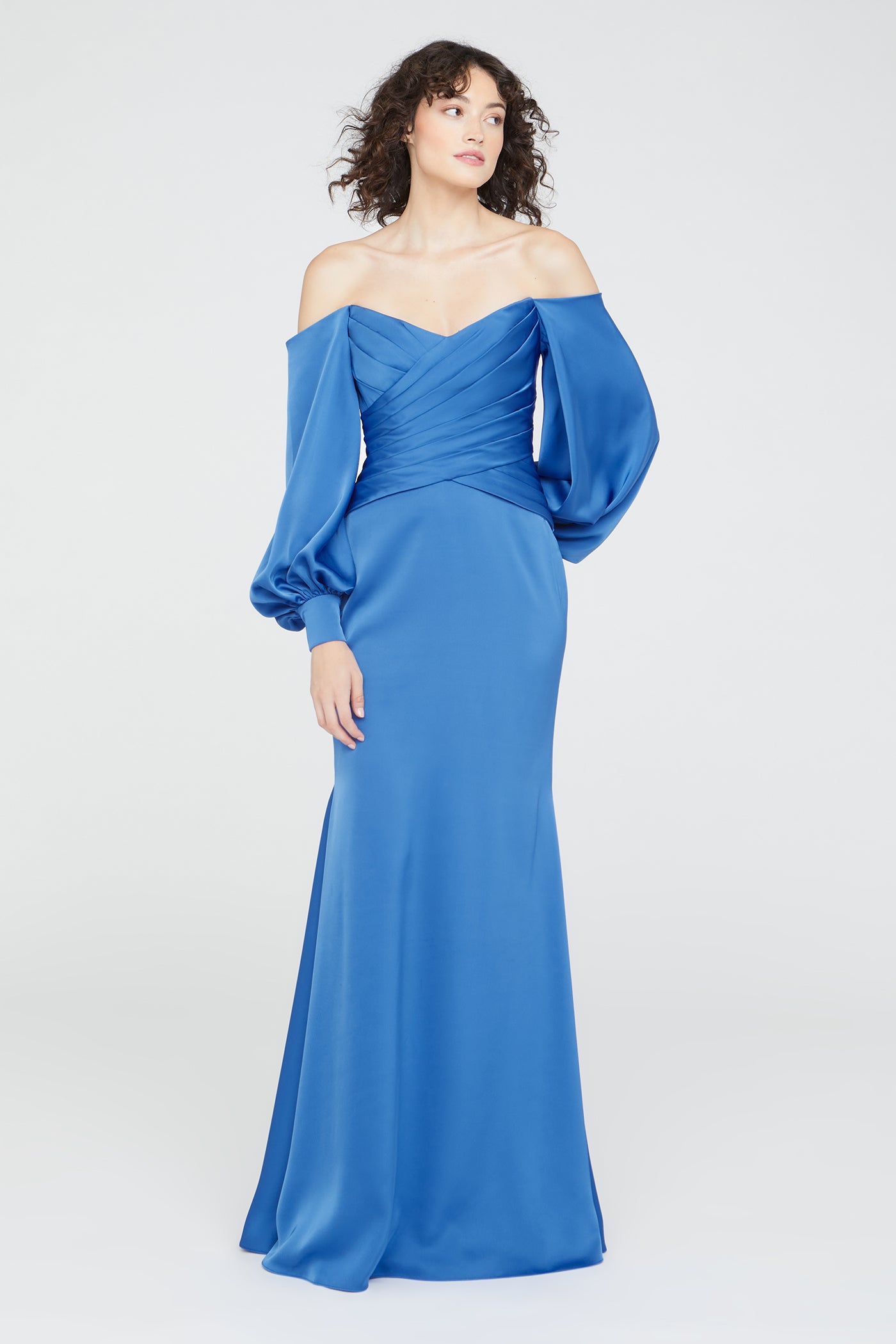 Milenia Draped Sleeve Gown