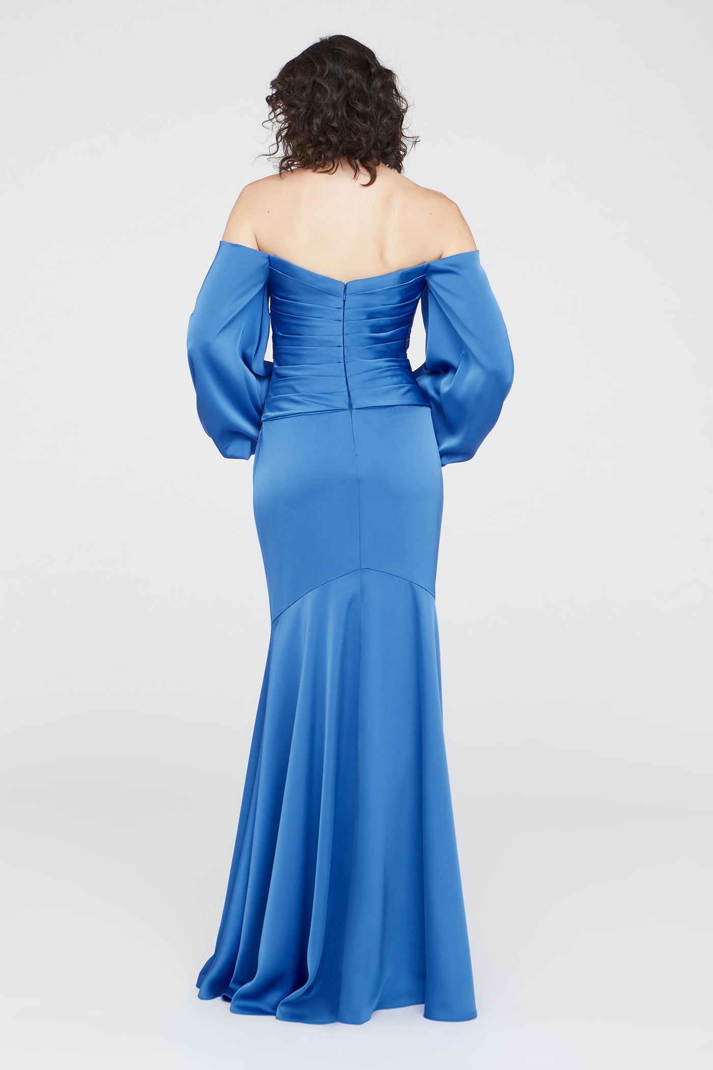 Milenia Draped Sleeve Gown