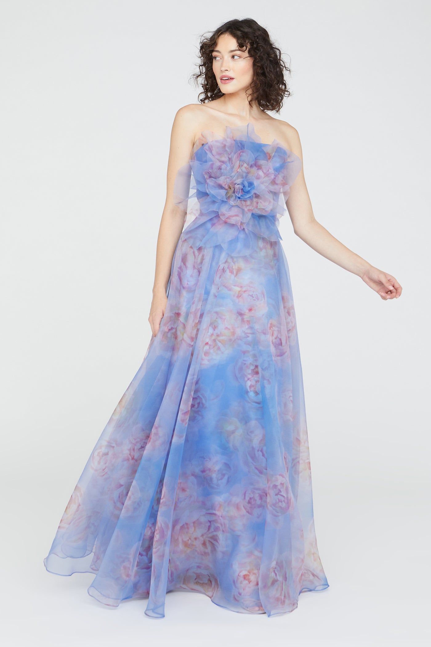 tania floral organza dress Tanya Organza A Line Gown 10 / Petite Primrose