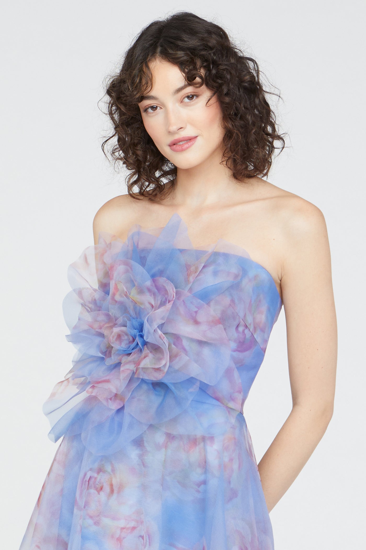 Kimberly Straples Organza Gown