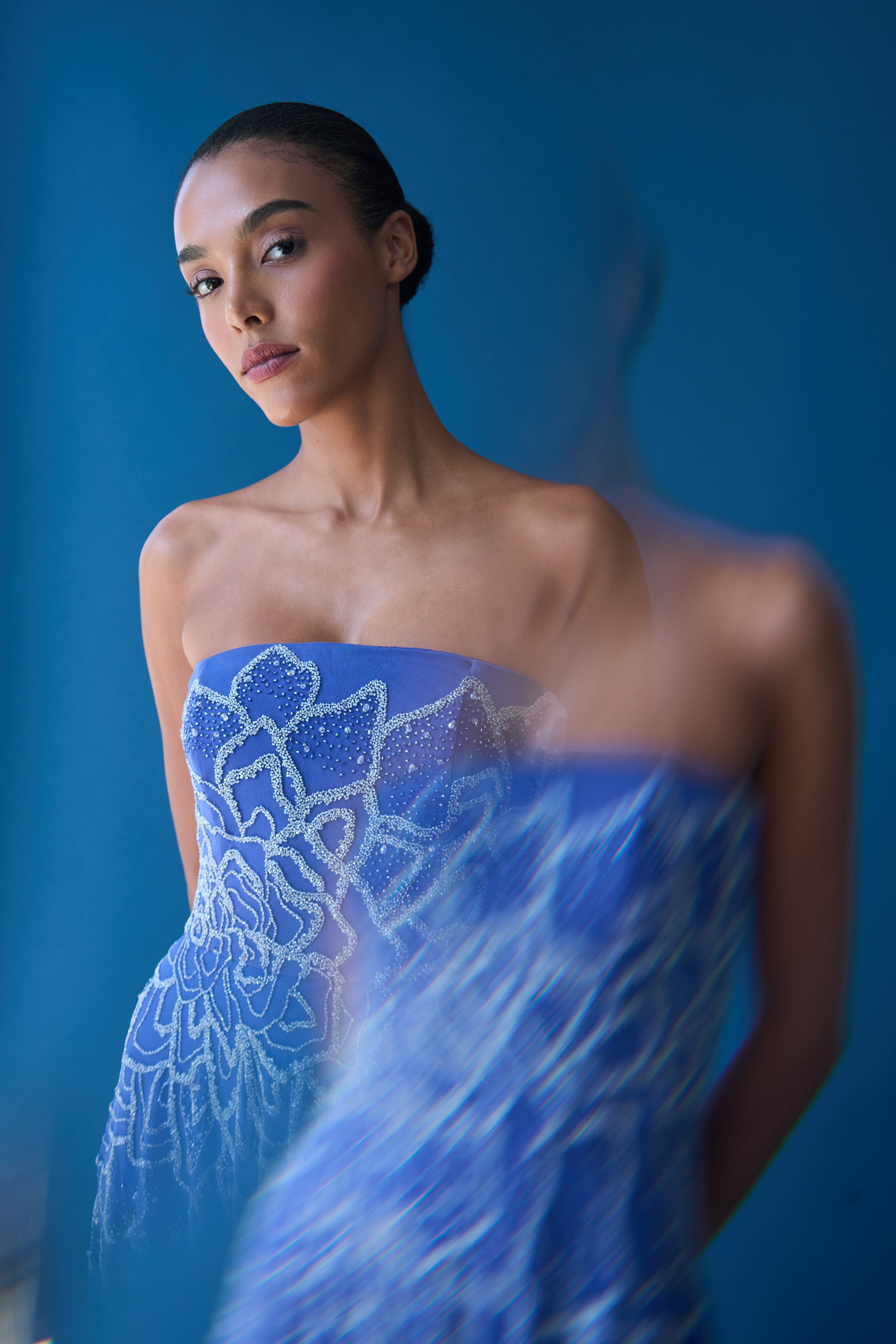 Ramona Ombre Beaded Gown – THEIA