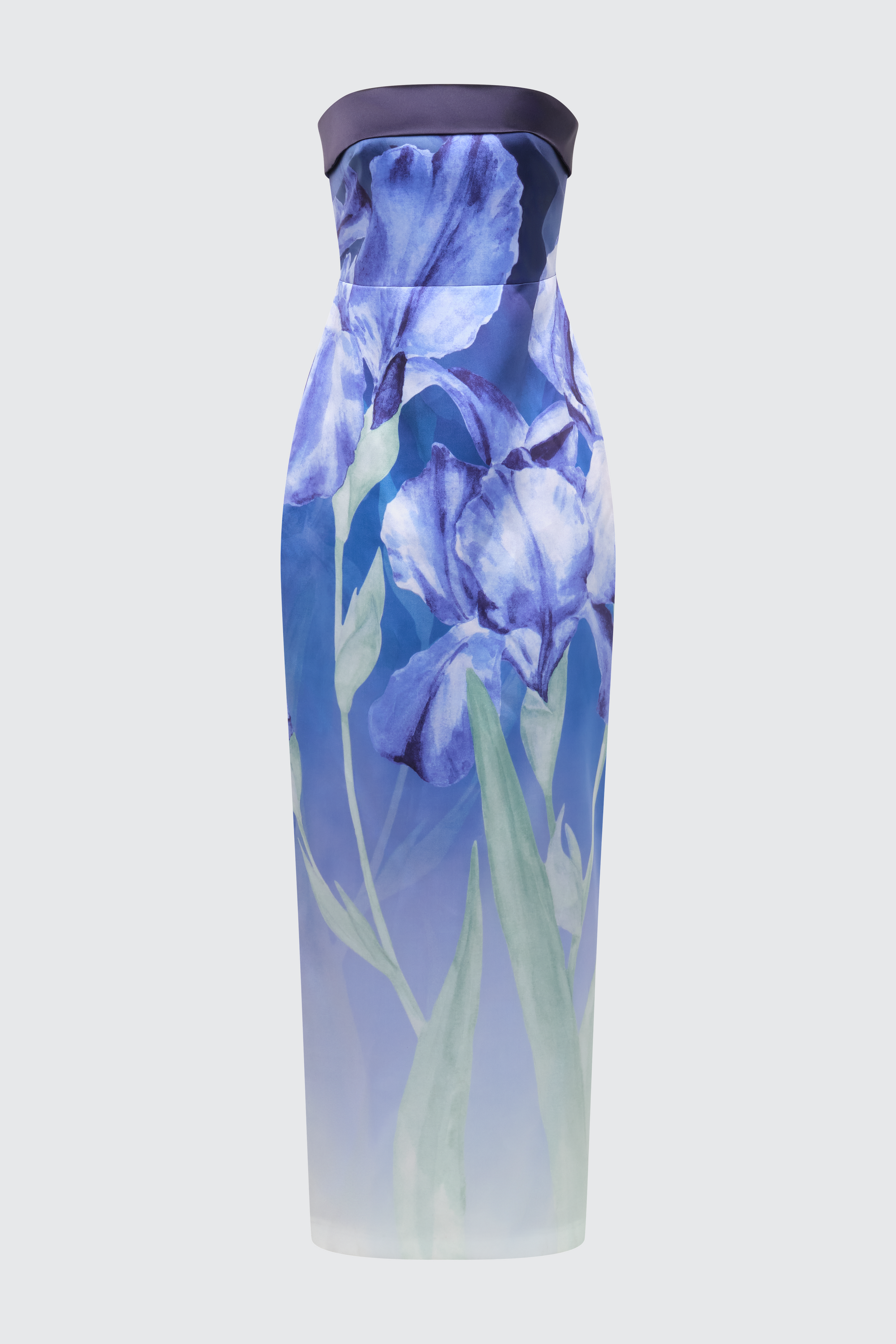 Cyrilla Strapless Column Gown