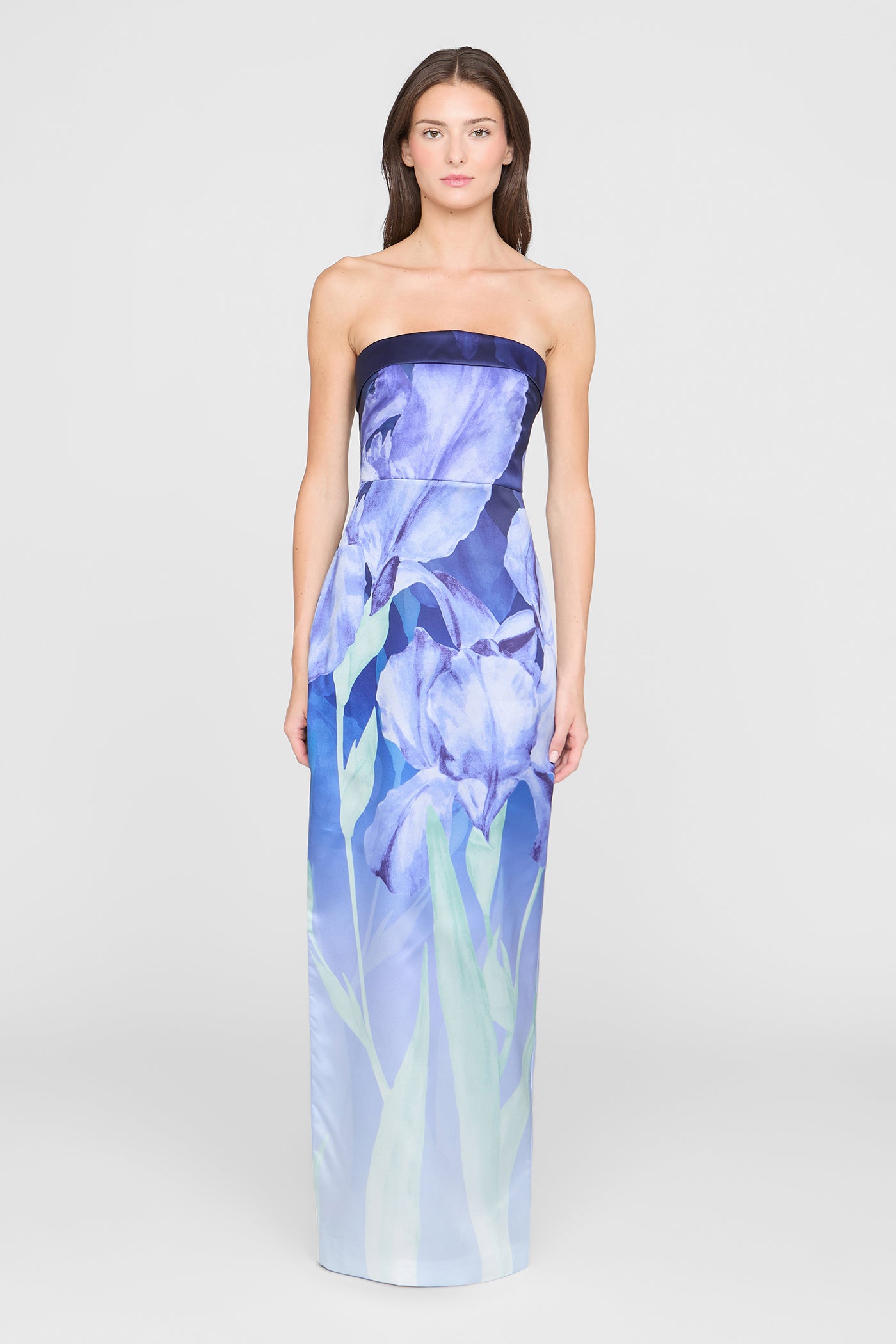 Cyrilla Strapless Column Gown