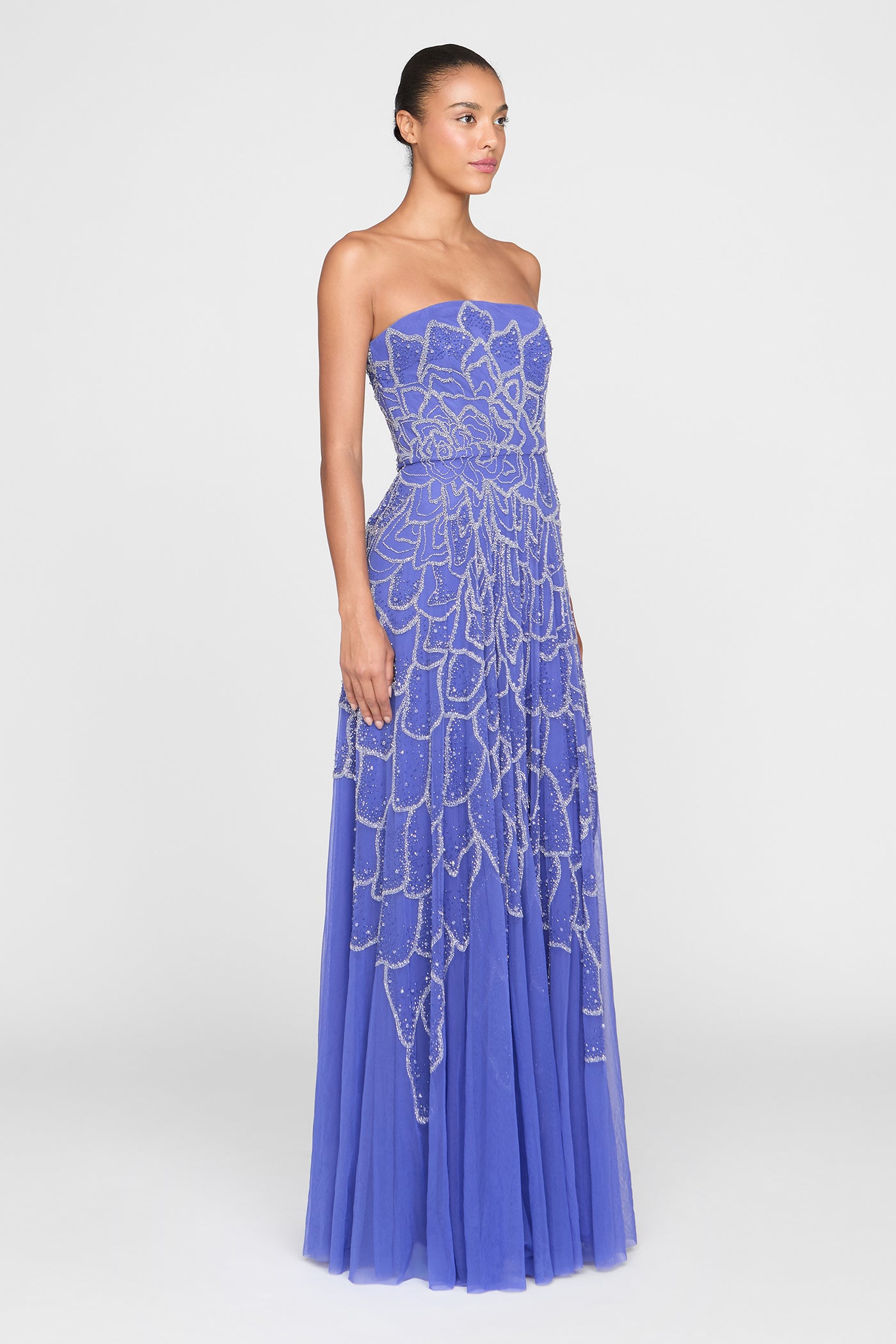 Ramona Ombre Beaded Gown