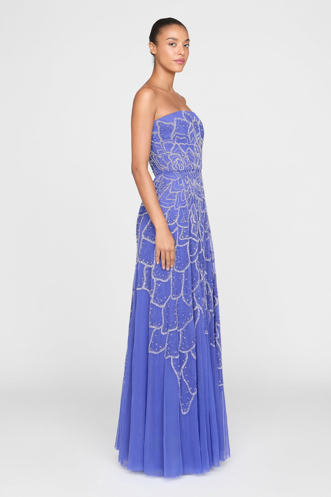 Ramona Ombre Beaded Gown