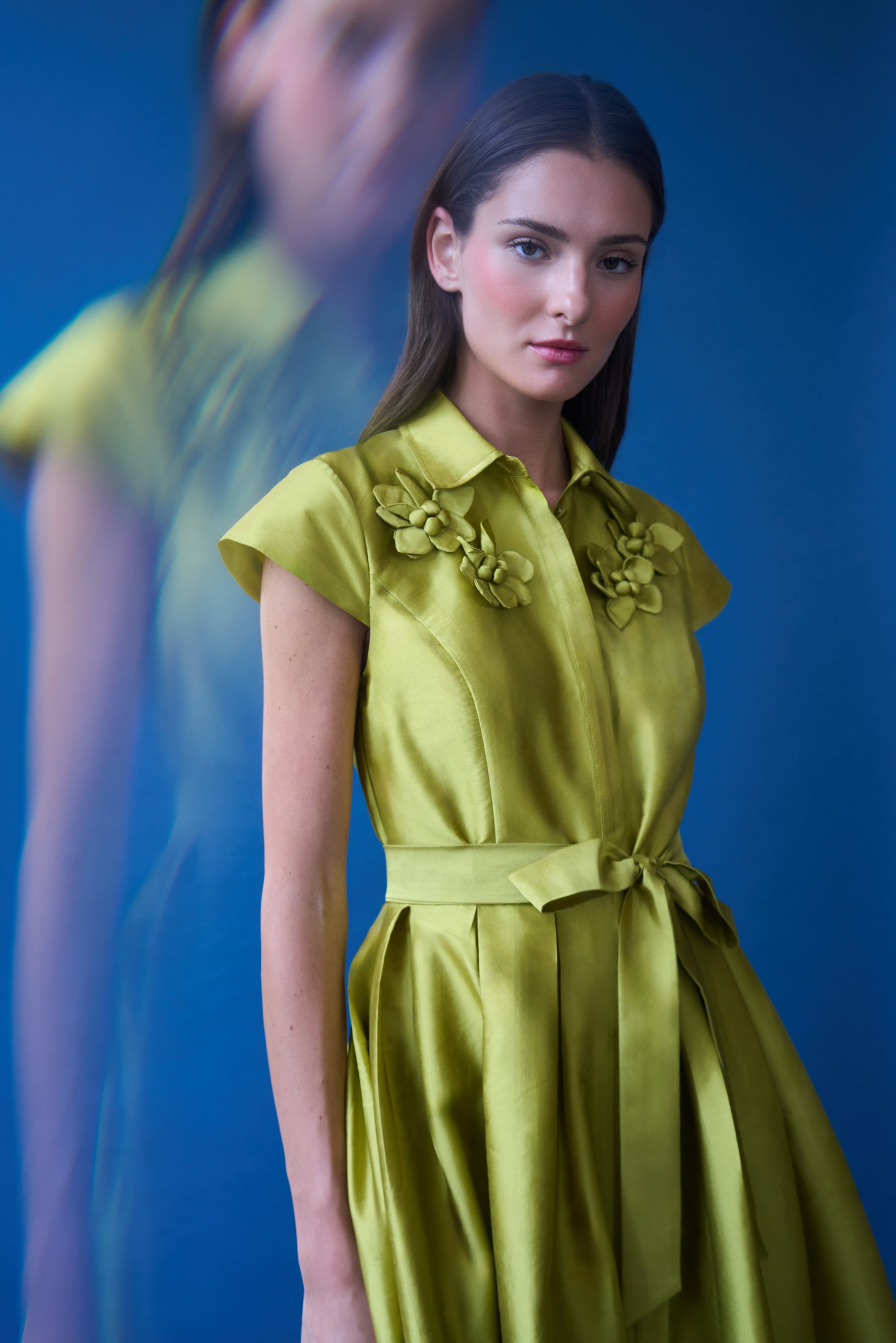 green taffeta dress Laila Maxi Taffeta Dress Emerald Green