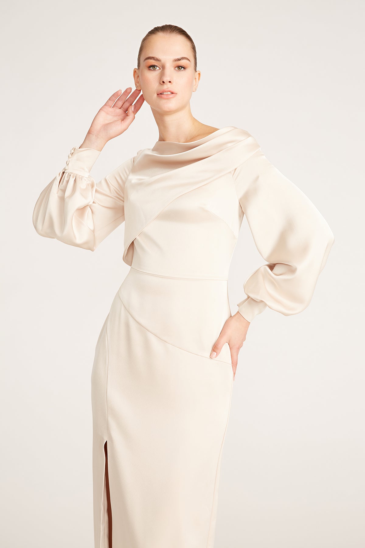 Sylvie Bishop Sleeve Gown – THEIA